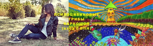 твердый Лиски