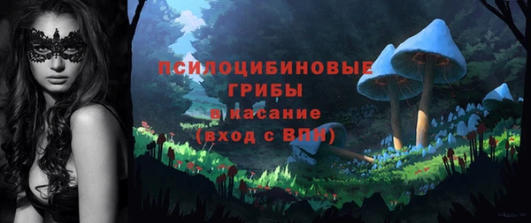 твердый Лиски