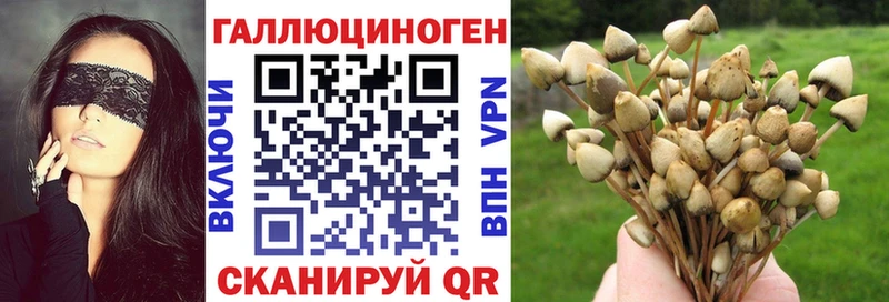 Псилоцибиновые грибы мухоморы  Димитровград 