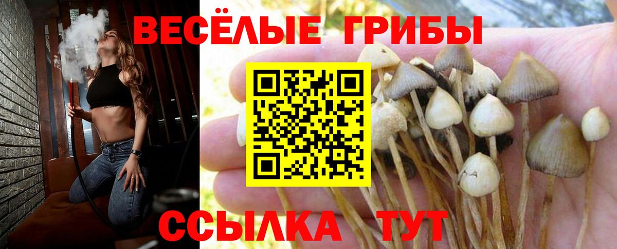 Псилоцибиновые грибы GOLDEN TEACHER  Вход с VPN  закладка  Димитровград 